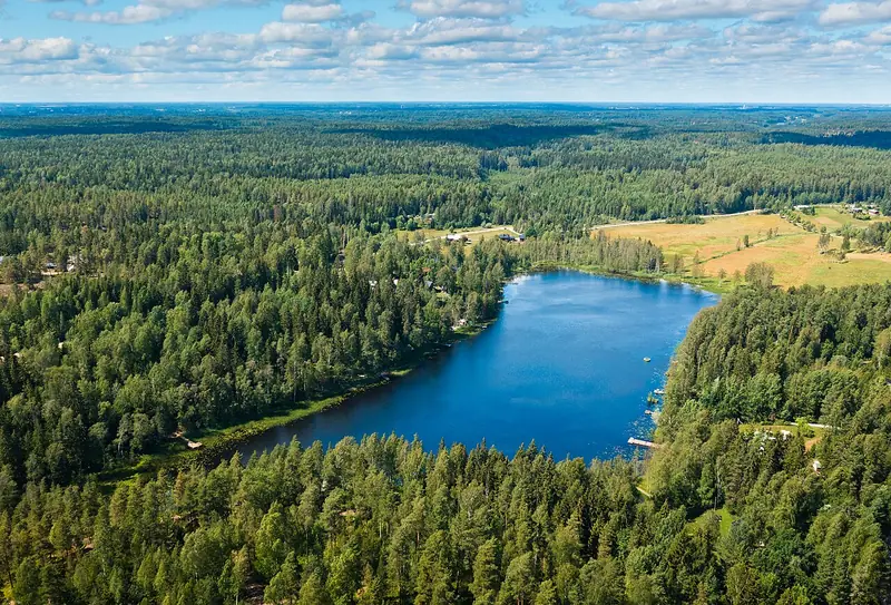 Le lac Helgträsk entouré de forêt, dans le parc national de Sipoonkorpi, près d'Helsinki, en juillet 2021.