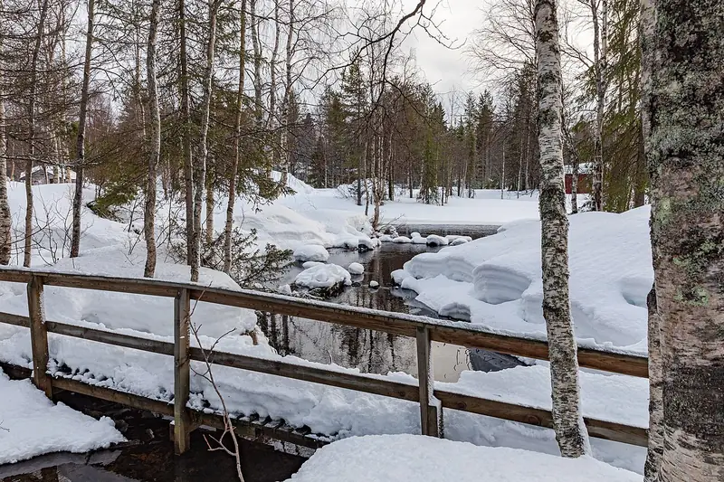 La rivière Käylänkoski sous la neige, dans une forêt de Kuusamo, au nord de la Finlande, en février 2020.